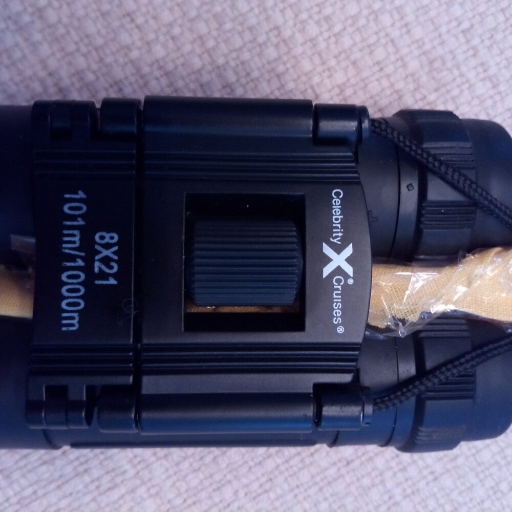 BLACK SMALL BINOCULARS